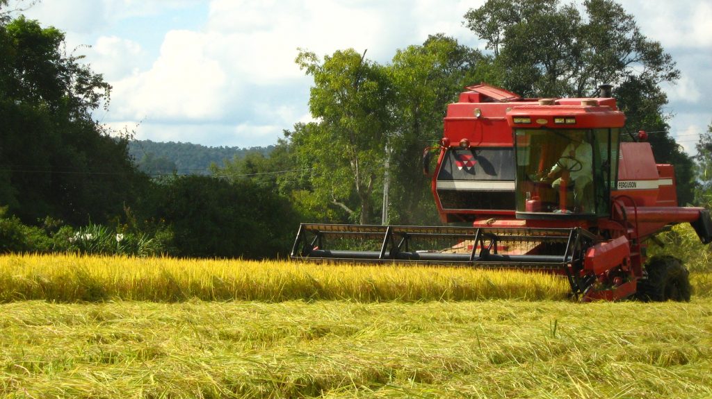 Fórum sobre agronegócio sustentável discute temas do setor em SP