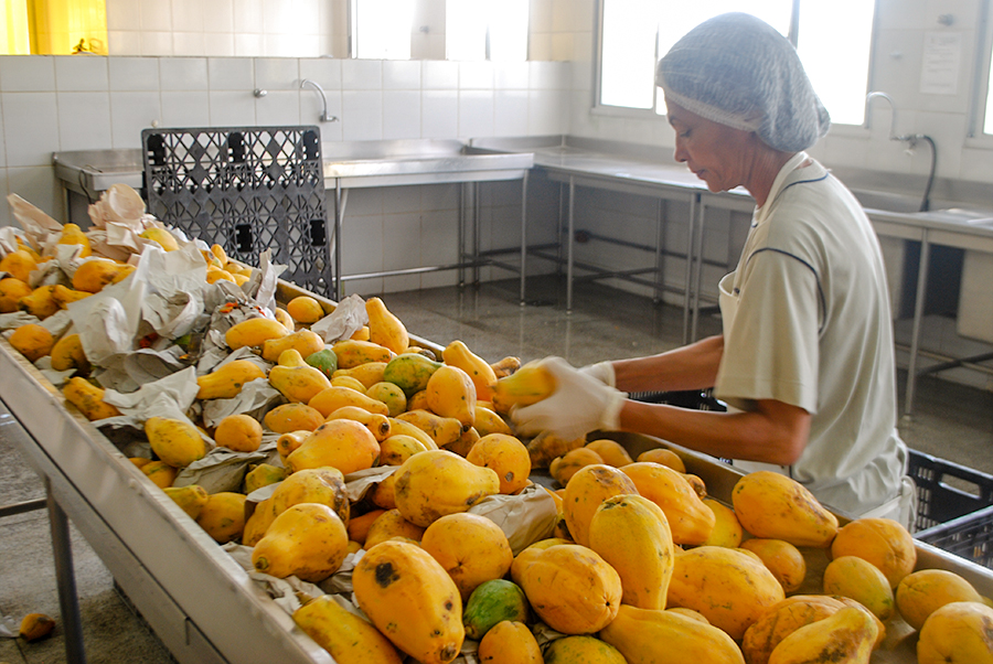 Prodal: Benefícios para entidades carentes